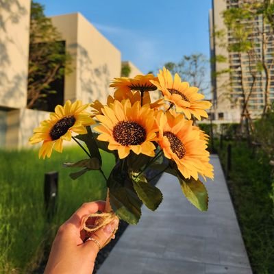 🌻เคโระน้อยหอยสังข์🇹🇭 ft.🍻's profile picture