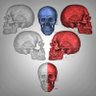 Sixskulls 的头像