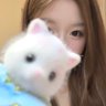 糯米's profile picture