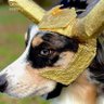Фото профиля Gus