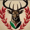 Rocco Lucania's profile picture