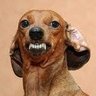 Profilbild von Harta!_Lpm