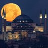 Mypat King profil fotoğrafı