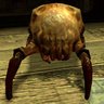 Headcrab!! profil fotoğrafı