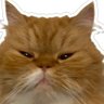 Profilbild von l u c y