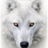 Profilbild von Alpha Doge