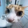 aεn's profile picture