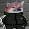Deez Nutt profil fotoğrafı