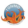 TONMO's profile picture