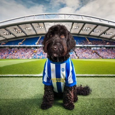 nicechimp's profile picture
