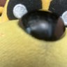 Profilbild von AAAcklandme