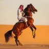 مصرى ابها وخميس مشيط🌶️ profil fotoğrafı