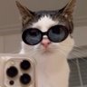 Profilbild von 냥냥