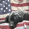 Jason Puckett's profile picture