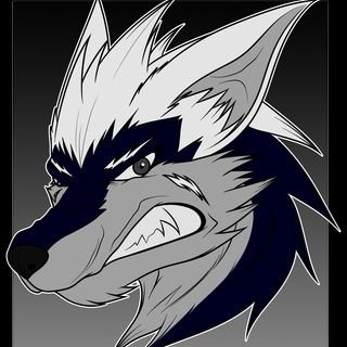 JCarmen61054990's profile picture