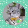 ゴン太🌸◦° profil fotoğrafı
