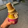 Torzek 的头像