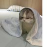 moona's profile picture