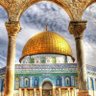 سليمان االوليد's profile picture