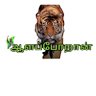 Chandrasekaran S's profile picture