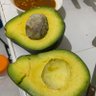 Фото профиля Avokado's Konstant