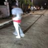 Shalan Bryan profil fotoğrafı