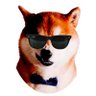 Profilbild von kazooMC