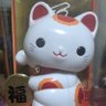 yoshsato 的头像