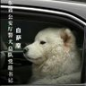 木子流年 profil fotoğrafı