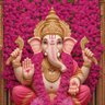 Фото профиля Varun Reddy