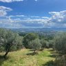 Фото профиля Azienda Agricola F.lli Napoletano