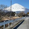 福太郎商店 profil fotoğrafı