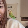 Фото профиля とりかわいい