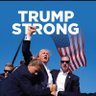 Profilbild von Dawn is here, see the light - President Trump Won