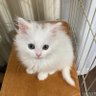 Profilbild von まさまさのりのり