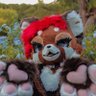 LanaRedFennec 🔜CFz #169 profil fotoğrafı