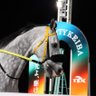 情報収集衛星(関西馬)🐴👻's profile picture