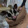 しんいく 的头像