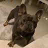 Alex941 profil fotoğrafı
