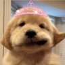 happiiap ◡̈ profil fotoğrafı