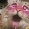 Profilbild von Pikaqiujiaqi