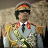 The duke of Lodwar🦍 的头像