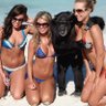 MutantBonobo™ 的头像