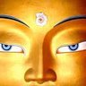 Profilbild von Ancient Truth