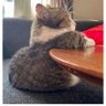 @Omusala profil fotoğrafı