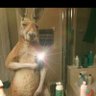 187 loko profil fotoğrafı