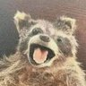 Profilbild von Héctor R Ex
