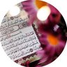قمطريرا profil fotoğrafı