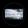 الصدى ()'s profile picture
