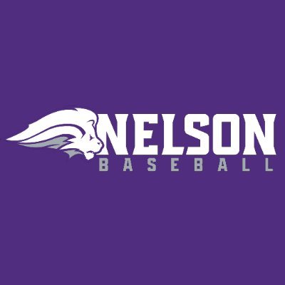 NelsonUBaseball's profile picture